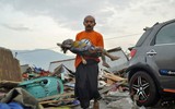[ẢNH] Chỉ trong hơn 2 tháng, Indonesia hứng chịu đến 5 cơn địa chấn